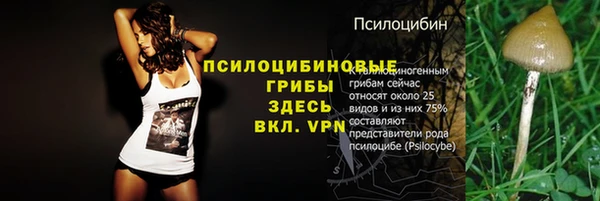 ALPHA-PVP Ладушкин